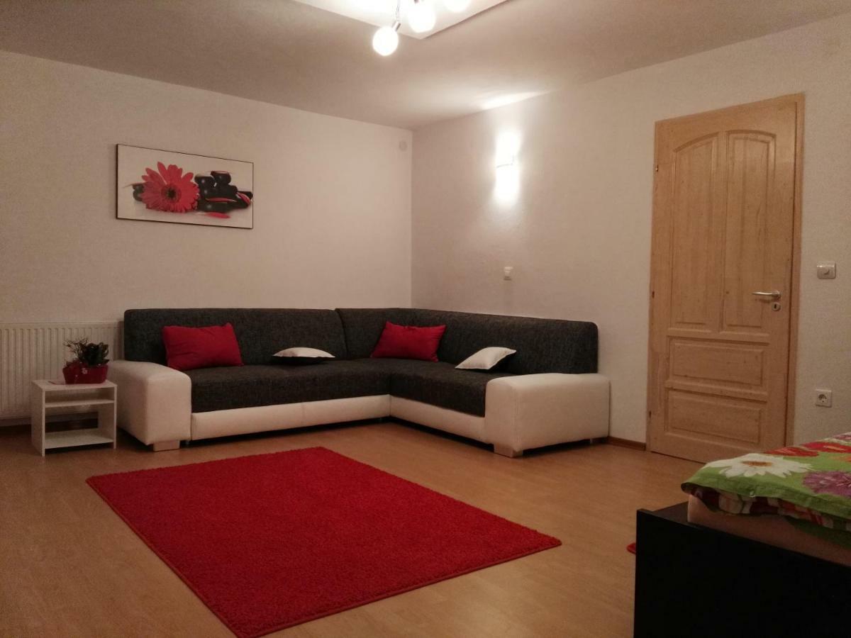 Sofias Apartment バート・ゴイーザーン エクステリア 写真